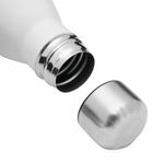 термобутылка PARKY