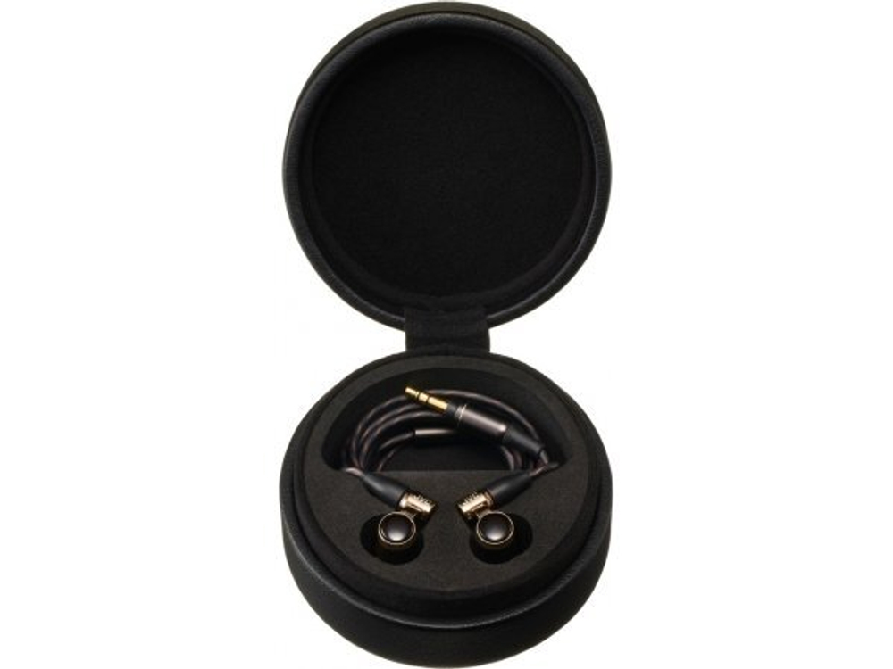 Наушники JVC HA-FW10000-F Black