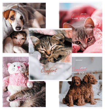 Тетрадь А5 48л. линия "Питомцы" скоба, обложка картон, микс в спайке (BRAUBERG)