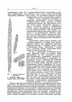 Химия древесины и целлюлозы | Н.И. Никитин