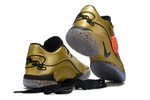 Заказать Olympic Gold Medal PE