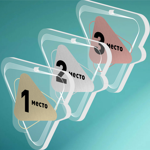 Акриловая медаль 1709