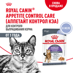 Royal Canin Appetite Control Care Аппетайт Контроль Кэа Корм влажный для взрослых кошек желе 85г