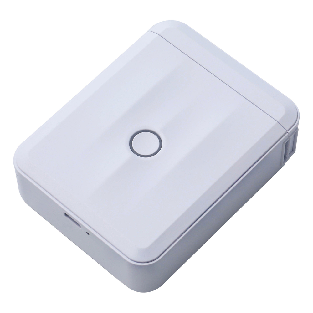Принтер NIIMBOT D110_M white