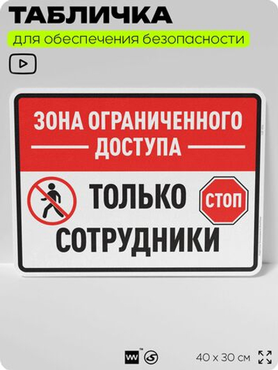 Табличка для обеспечения безопасности "Зона ограниченного доступа, только сотрудники", для производства, предприятия, организаций, 40х30 см, Silver Plane x Айдентика Технолоджи
