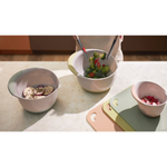 Набор из 4 разделочных ковриков smartchef, 28,5х36 см