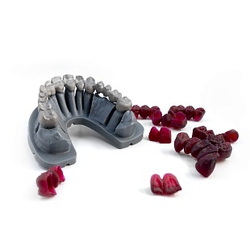 Dental Cast Cherry