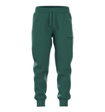Штаны для мальчика теннисные Björn Borg Essential 1 - posy green