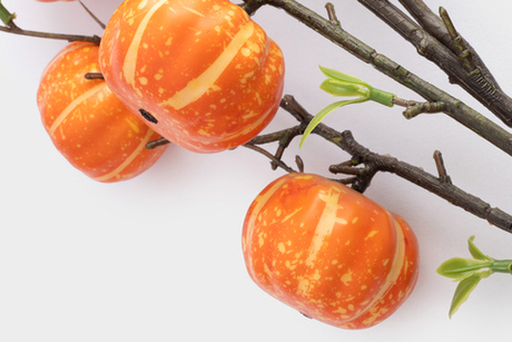 Ветка декоративная 94см Anna Lafarg Bright pumpkin Тыквы