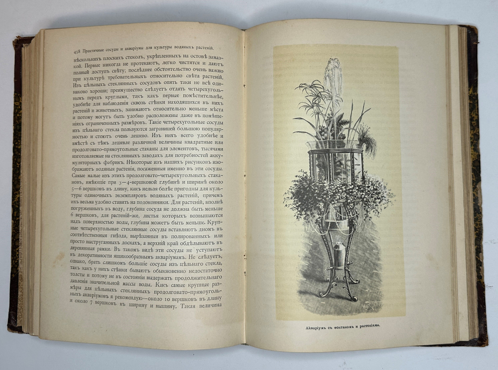 Гесдерфер М. Комнатное садоводство. СПб. Изд. Девриена, 1898г.