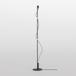 Напольный светильник (торшер) Maytoni MOD166FL-L15B3K