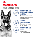 Royal Canin Maxi Adult Корм сухой для взрослых собак крупных размеров от 15 месяцев до 5 лет 15 кг