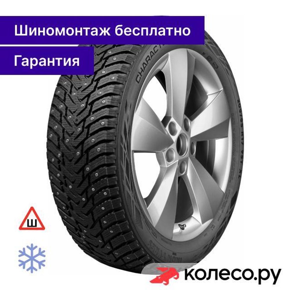 Character Ice 8 195/65 R15 95T