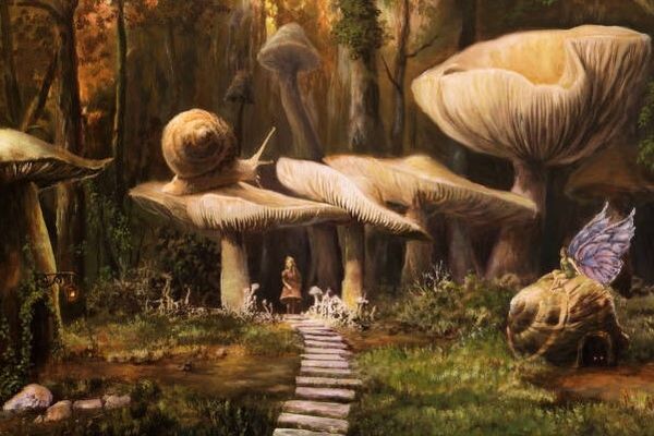 Грибы-рекордсмены: самые удивительные экземпляры планеты