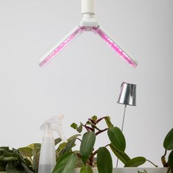 Фитолампа для растений светодиодная ЭРА GREEN LINE ФИТО-20W-PL-E27-GR 2-х лепестковая красно-синего спектра 20 Вт Е27 | Фитолампы Е27