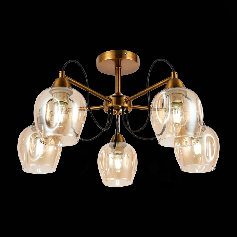 Светильник потолочный Evoluce Acro SLE110002-05