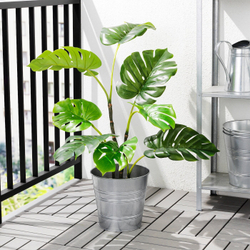 FEJKA Искусственное горшечное растение, комнатное/открытое Monstera, 19 см