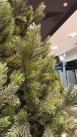 Ель искусственная «Брено» (Литая) 180 см / 1.8 м