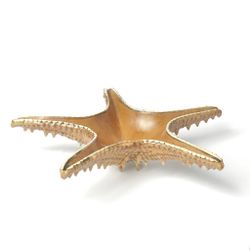 Блюдо для подачи 28*28 см h6 см 100 мл Звезда Pearl Starfish Frutti di Mare P.L. [1]