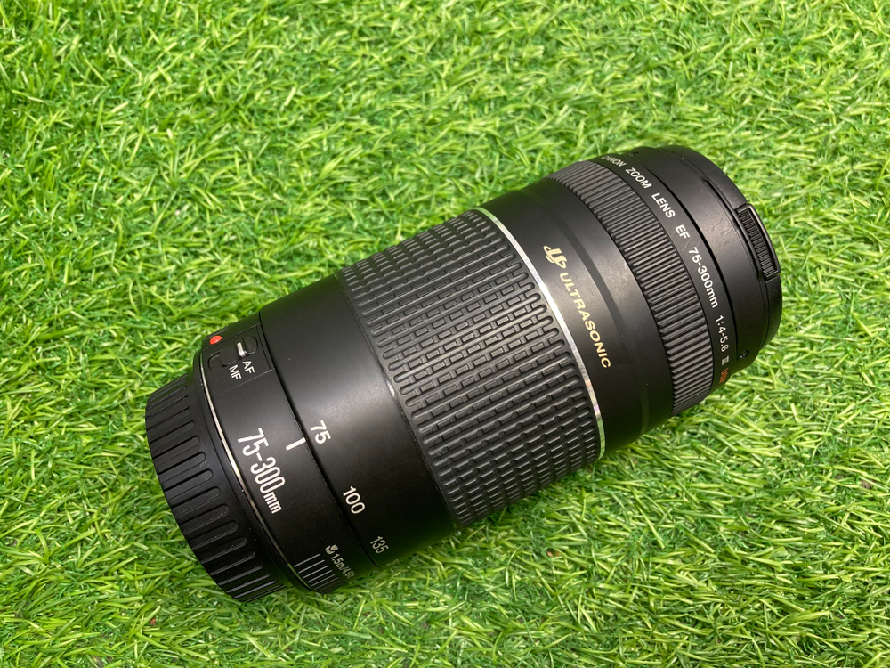 Canon EF 75-300mm 4-5.6 III USM
