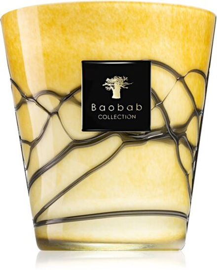 Baobab Collection Filo Oro - ароматическая свеча /  16 cm   / GTIN 5415198490765