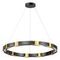 Подвесной светодиодный светильник Odeon Light Fierro 4991/80L