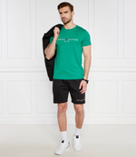 Шорты Tommy Hilfiger - черный(MW0MW34201)