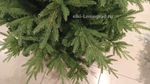 Искусственная ель "Форесто" (Литая+пвх) от 1,2 м до 2,4 м