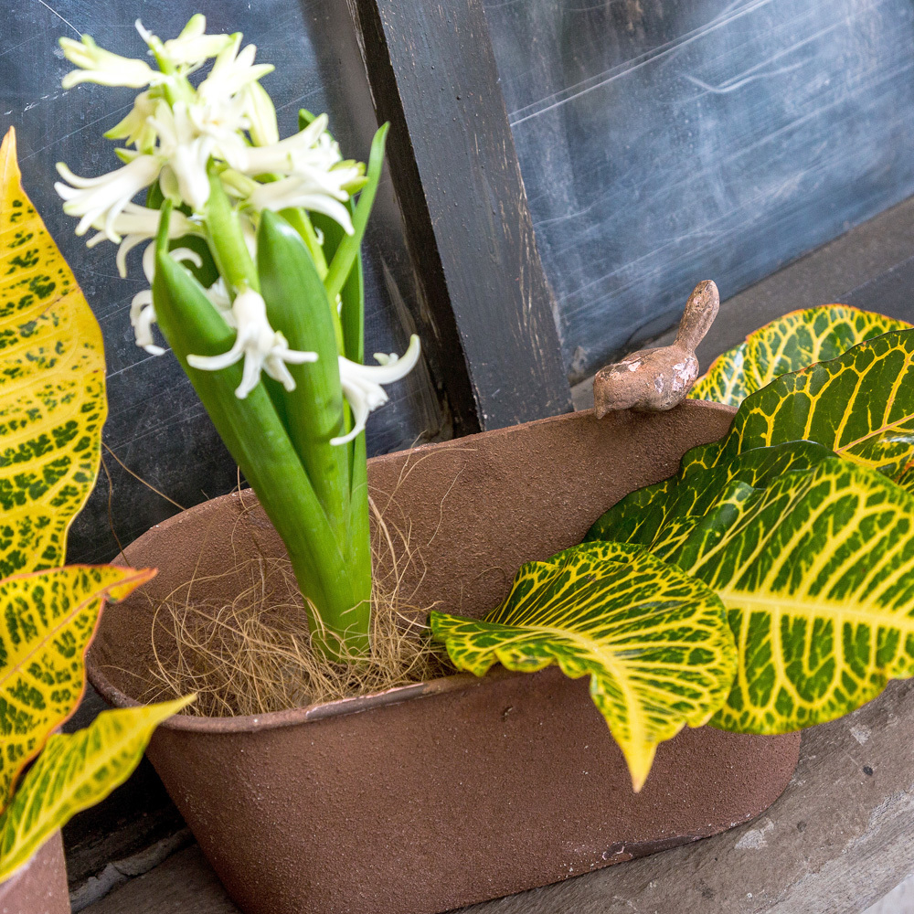 Металлическое кашпо Сиена версия L Объект мечты