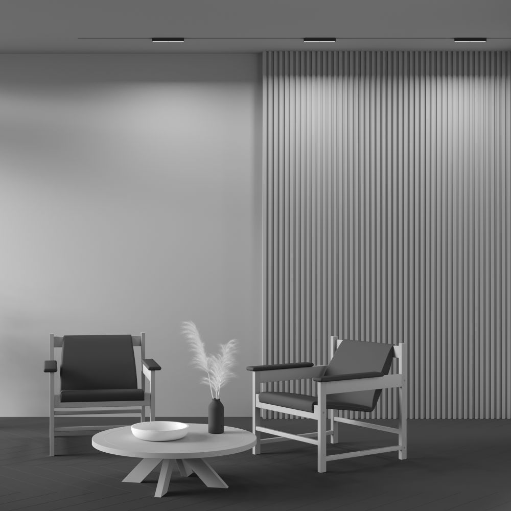 Трековый магнитный светодиодный светильник Maytoni   TR106-2-12W3K-B