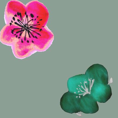 Японский взрыв цветов на желтом фоне