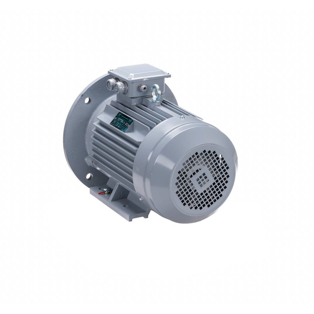 Электродвигатель ESQ PR 100 L2 GST-Б1-S12-IE2 5,5/3000 IM2081