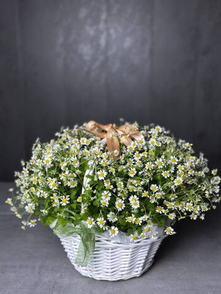Яркая корзинка ромашек