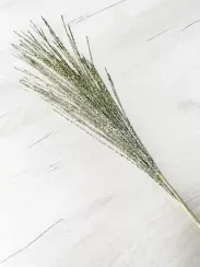 Ветвь Новогодняя шампань 80 см., Christmas DeLuxe (89150)