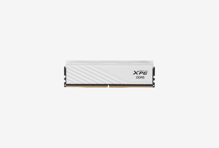 AX5U6000C3032G-DTLABRWH_0226605104910