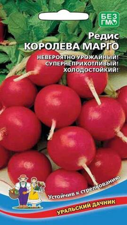 Редис "G. Королева Марго" 2г., Россия.