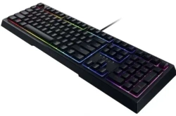 Клавиатура Razer Ornata V2 (черный) (RZ03-03380700-R3R1)