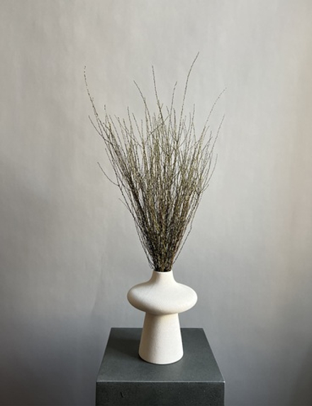 Вереск зеленый