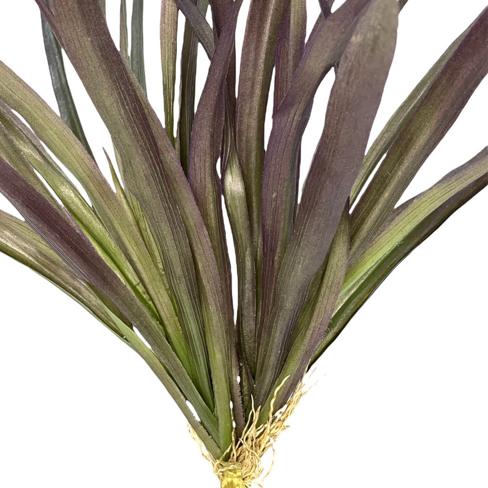 Цимбидиум мелколистный бордо 45 см.