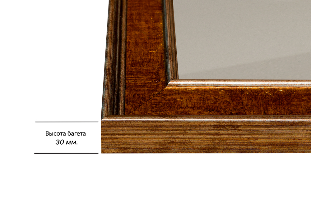 Рамка 20x50 для постера и фотографий RPS0161550-21