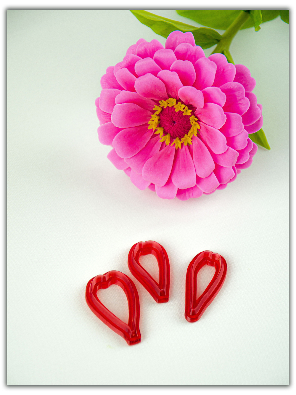 Лепестки циннии