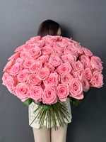 51 Роза «Софи Лорен» 60см,70см