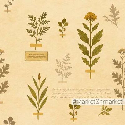 Дизайн заказчика