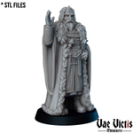 Человек Король миниатюра для dnd, днд, pathfinder, фентези, Настольная игра, НРИ, Варгейм, РПГ