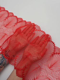 Вышивка на сетке красная неэластичная ширина 24 см