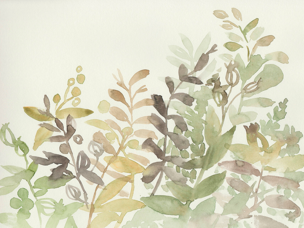 Коллекция WATERCOLOR21