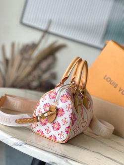 Louis Vuitton Speedy 20