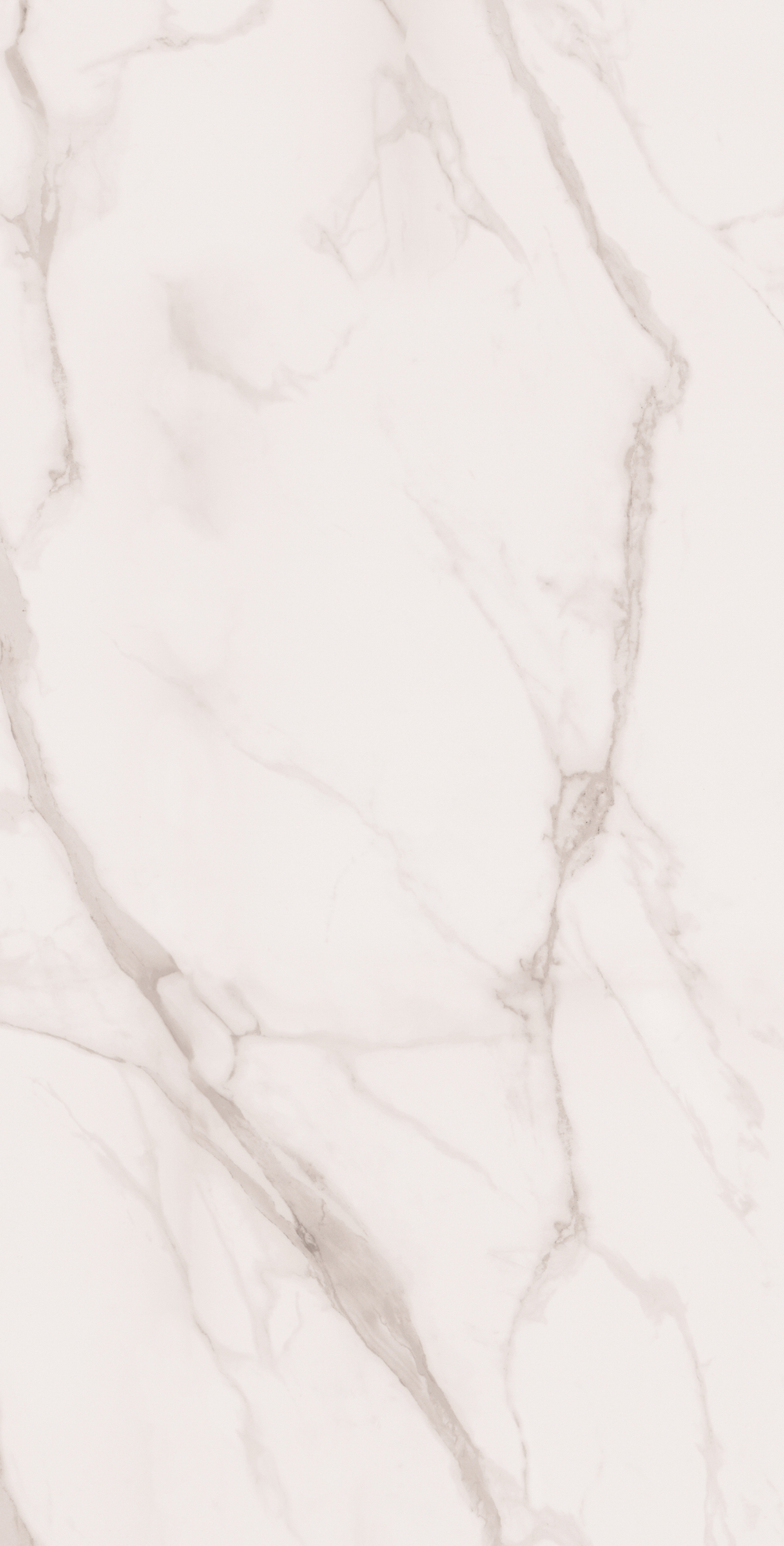 Керамогранит, Arcadia Ceramica, STATUARIO SILK, 1200x600 мм, сатиновая