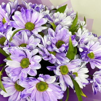 Букет из хризантем Бакарди Виолет