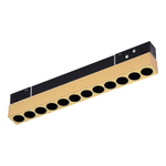 Светильник трековый SKYLINE 48 LED 1х12W